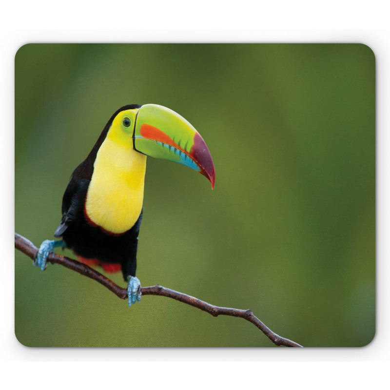 Keel Billed Toucan Mouse Pad