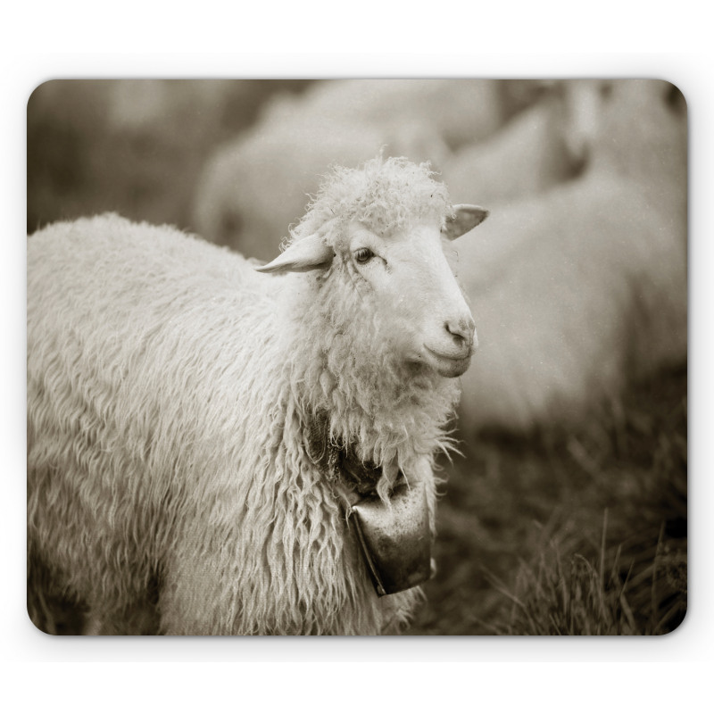 Fluffy Wooly Sheep Herd Mouse Pad