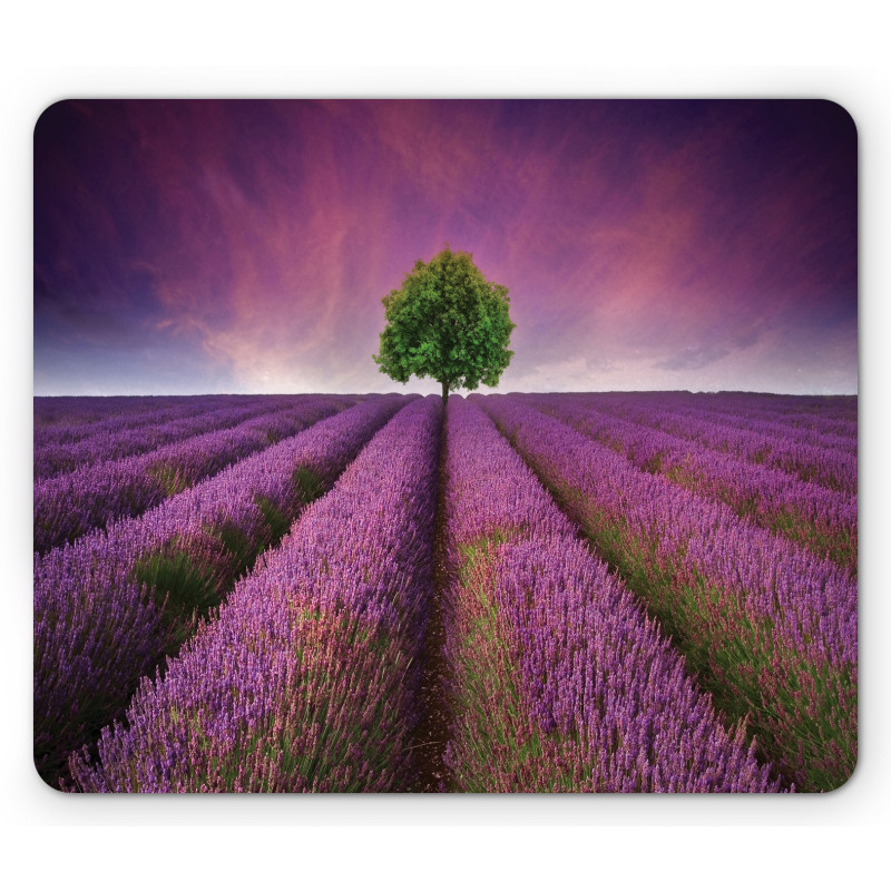 Lavender Fields and Tree Mouse Pad