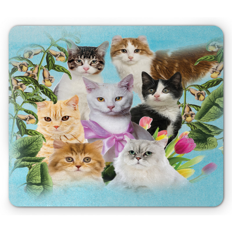 Cats Feline Domestic Mouse Pad