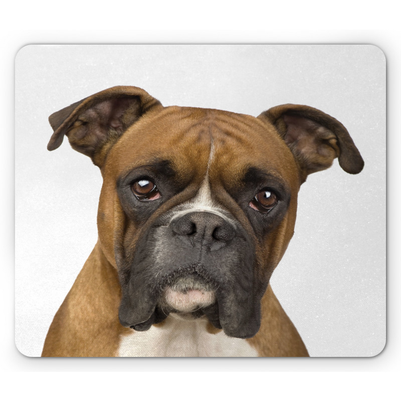 Purebred Dog Front View Mouse Pad