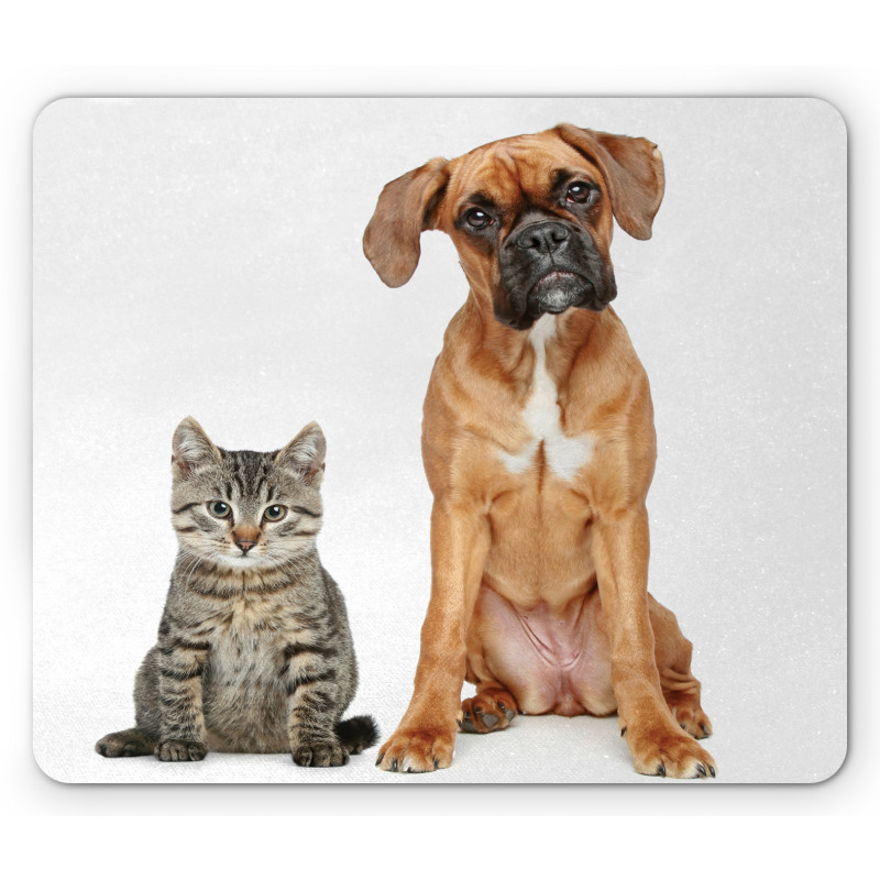 Cat Dog Animal Friends Mouse Pad