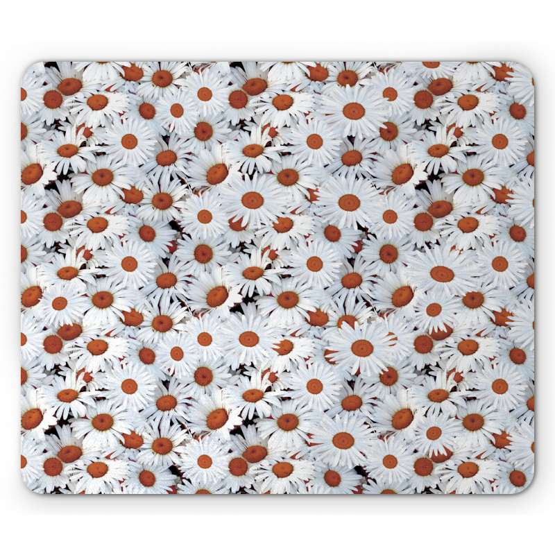 Close up Spring Flower Mouse Pad