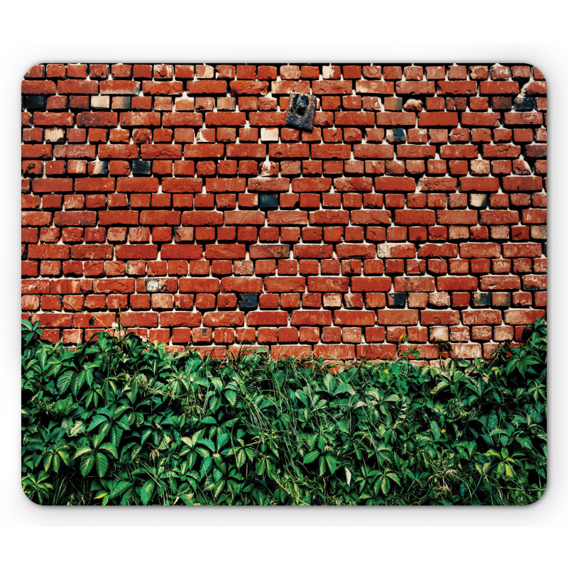 Wall with Green Leaves Mouse Pad