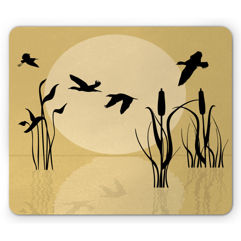 Flying Birds over Lake Sun Mouse Pad