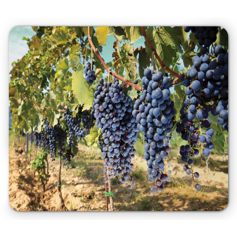 Rows of Wine Fruits in Italy Mouse Pad