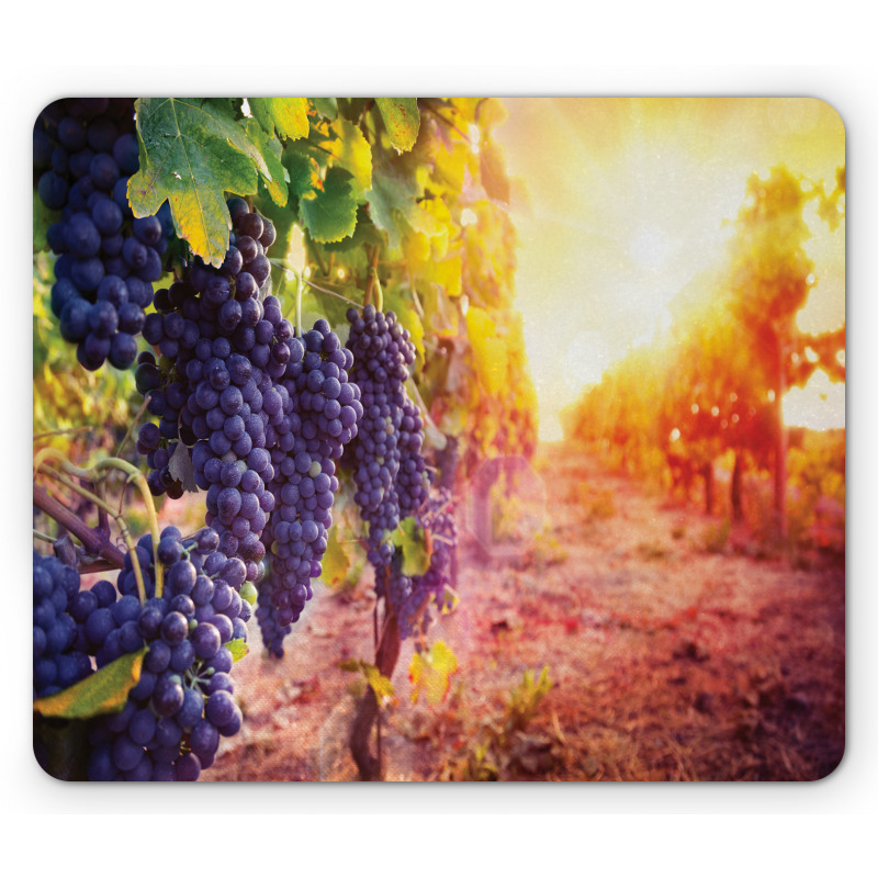 Grape in Countryside Vineyard Mouse Pad