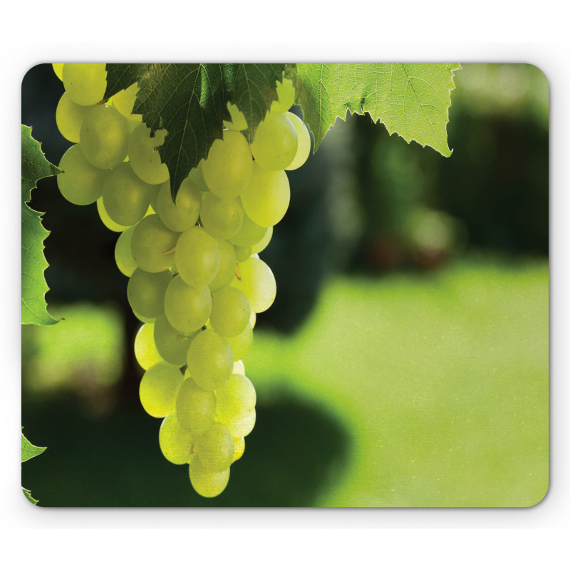 Bunch of Fruits Hanging Photo Mouse Pad