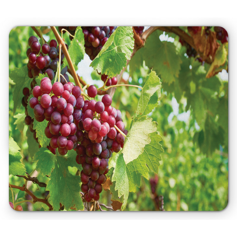 Bunch of Wine Fruits Foliage Mouse Pad