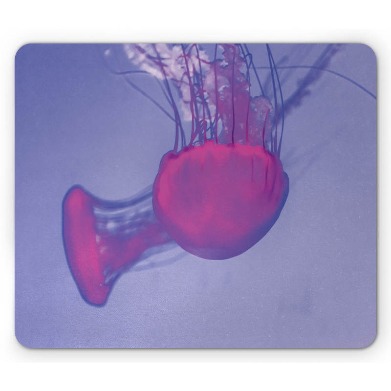 Sea Creature Beauty Float Mouse Pad