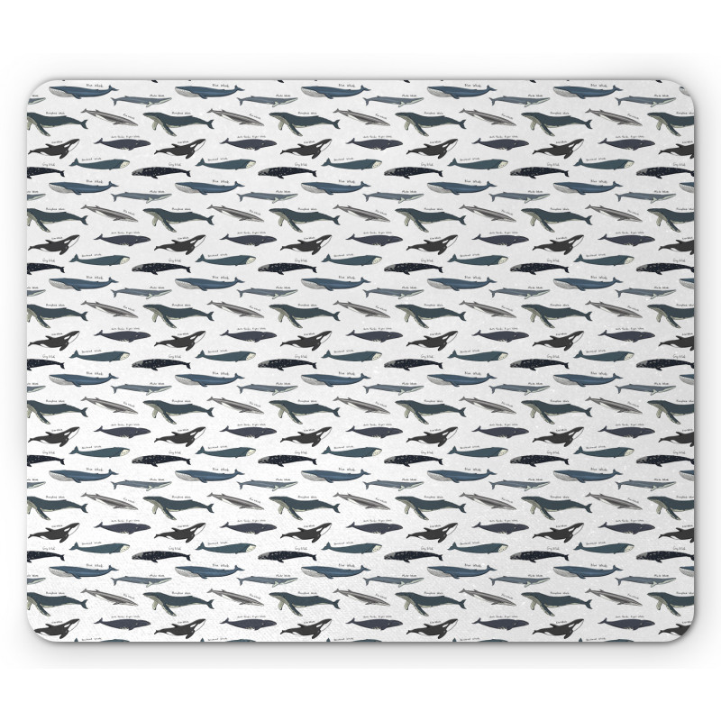 Type of Fish Grey Fin Killer Mouse Pad