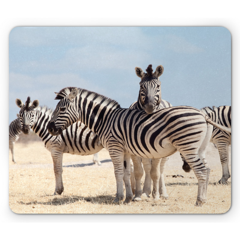 Namibia Africa Safari Mouse Pad