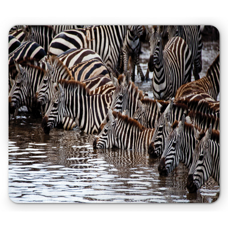 Zebra Wildebeest Herd Mouse Pad