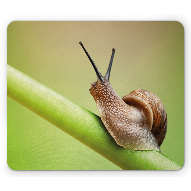 Garden Animal on Stem Plant Mouse Pad