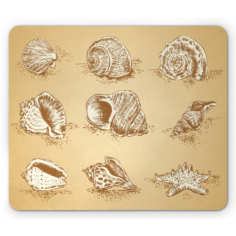 Marine Seashells Shark Eye Mouse Pad