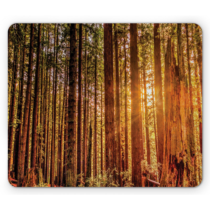 Redwoods Forestry Mouse Pad