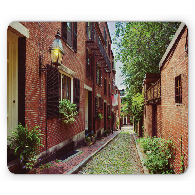 Historic Acorn Street Mouse Pad