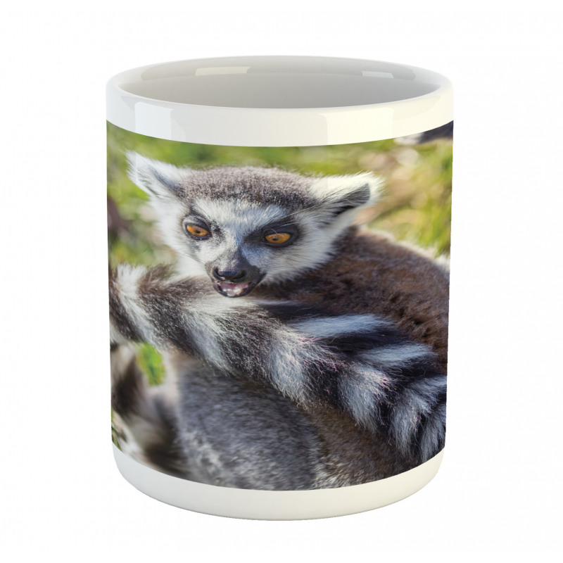 Ring Tailed Funny Expression Mug