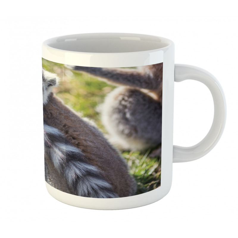 Ring Tailed Funny Expression Mug