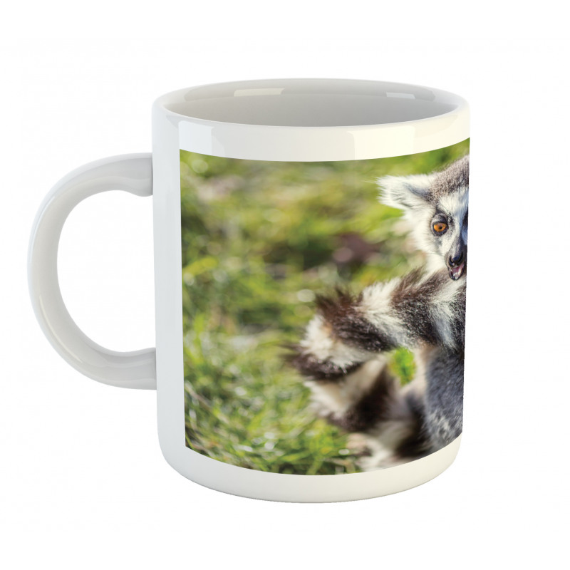 Ring Tailed Funny Expression Mug