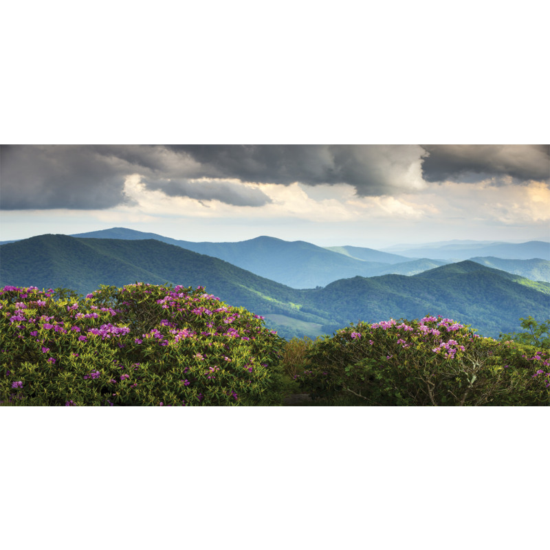 Mountain Peaks Azalea Mug