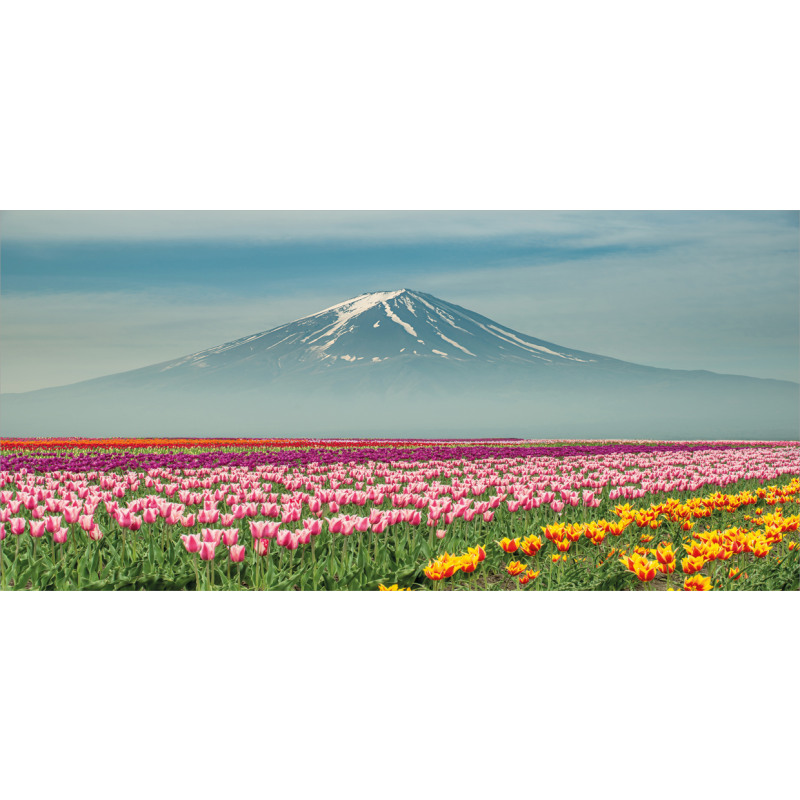 Colorful Japanese Tulips Field Mug