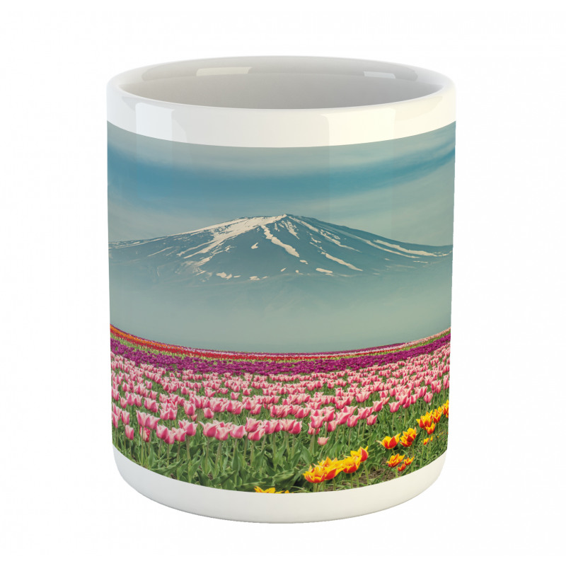 Colorful Japanese Tulips Field Mug