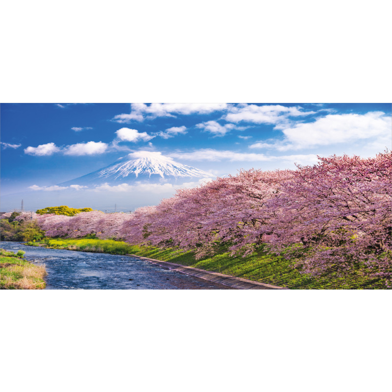 View of River and Clear Sky Mug