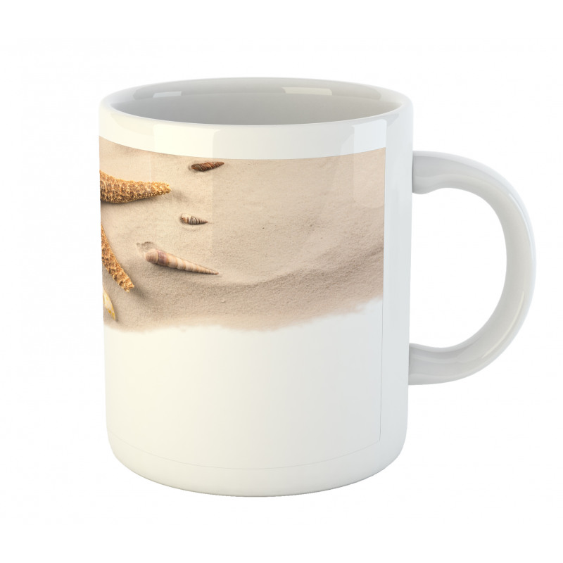 Close up Shot Seashells Mug