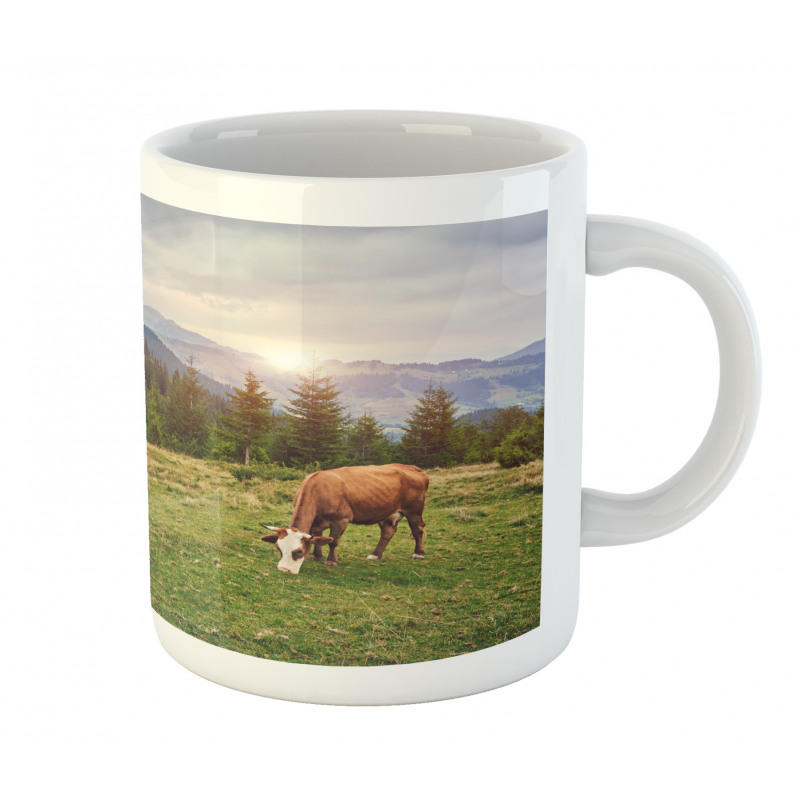 Cows Grazing in Meadow Mug