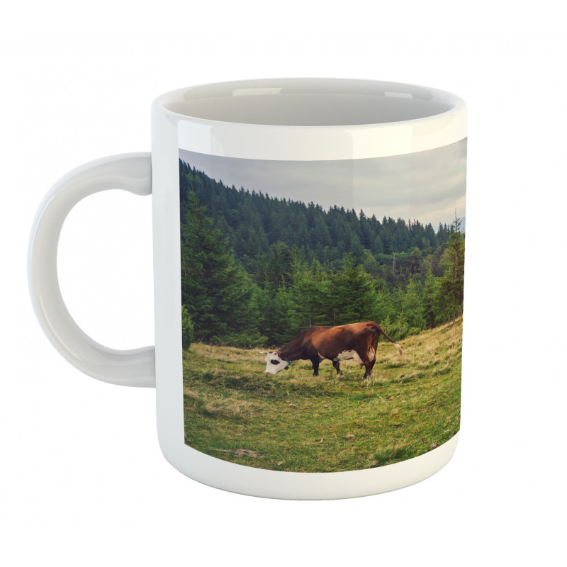 Cows Grazing in Meadow Mug