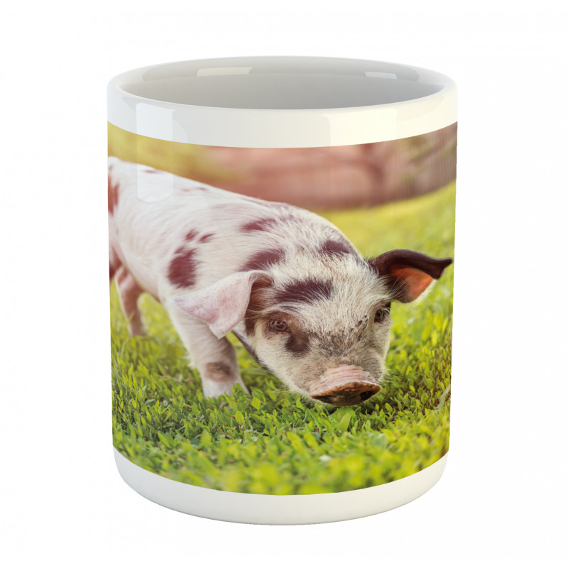 Baby Pig with Spots Mug