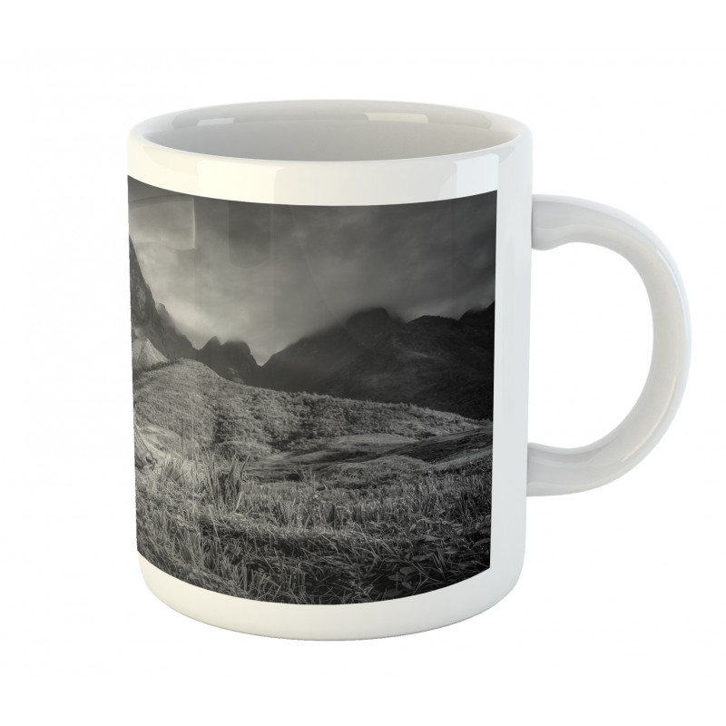 Buffalo on Rice Fields Mug