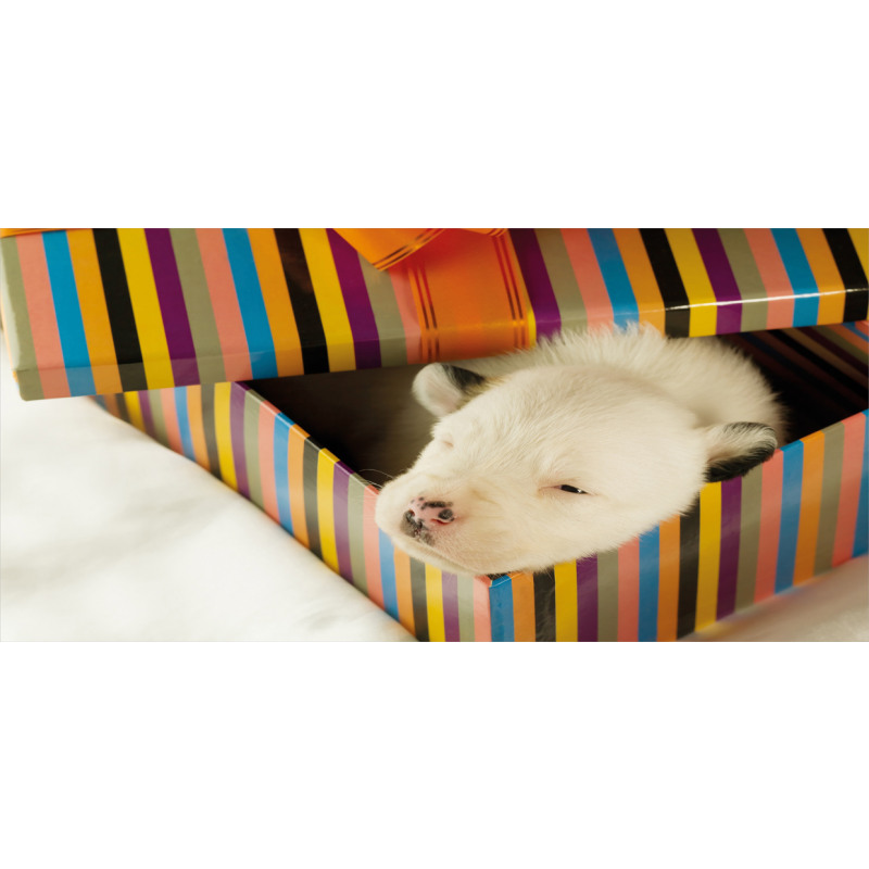 Newborn Dog in Gift Box Photo Mug