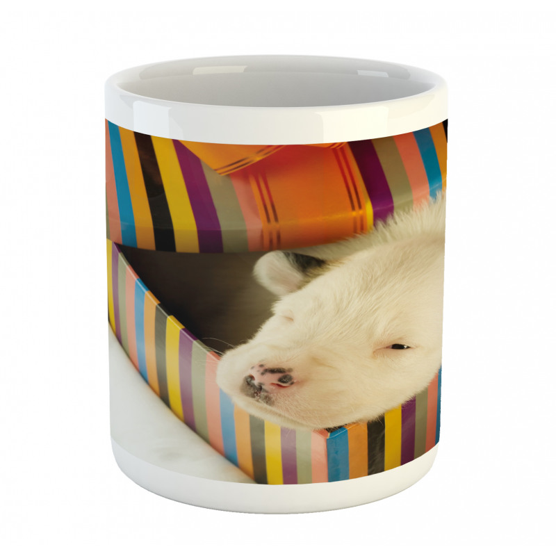 Newborn Dog in Gift Box Photo Mug