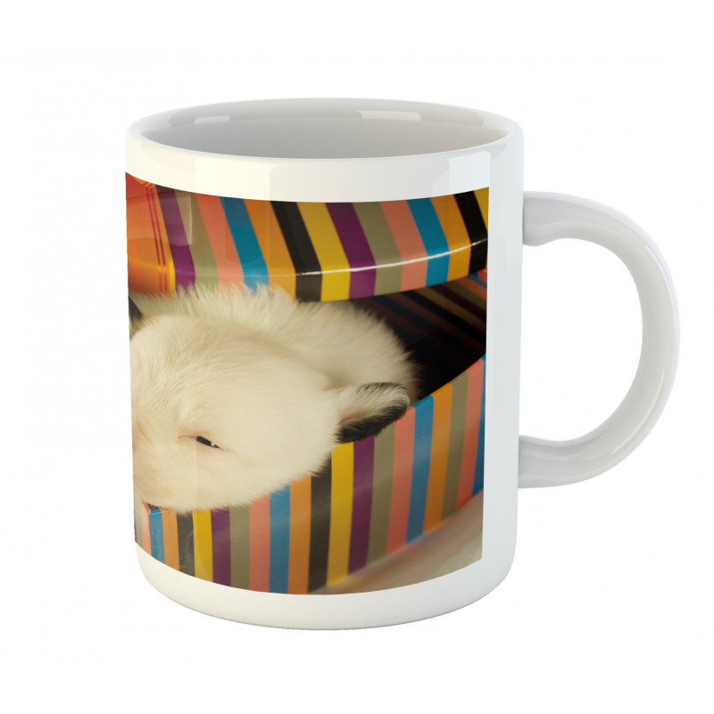 Newborn Dog in Gift Box Photo Mug