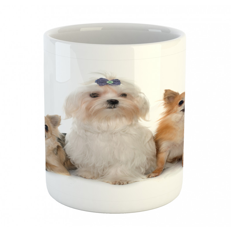 Chihuahua and Maltese Dogs Mug