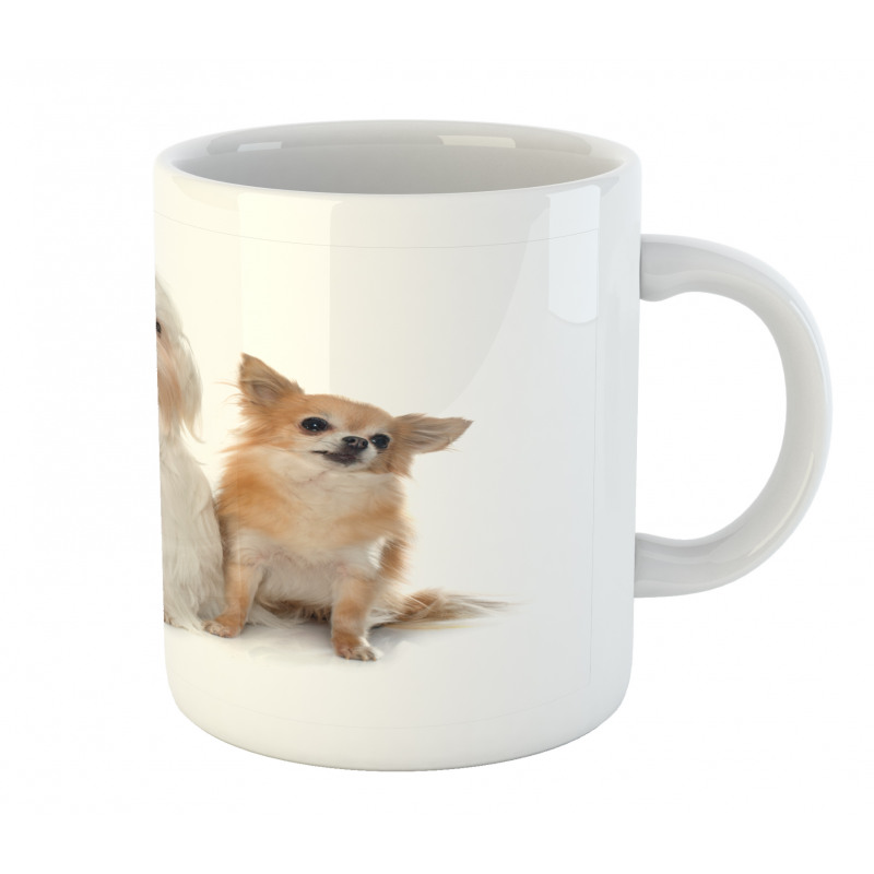 Chihuahua and Maltese Dogs Mug