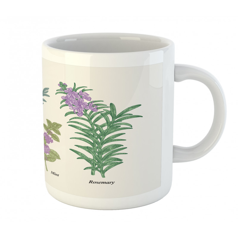 Botanical Infographic Plants Mug