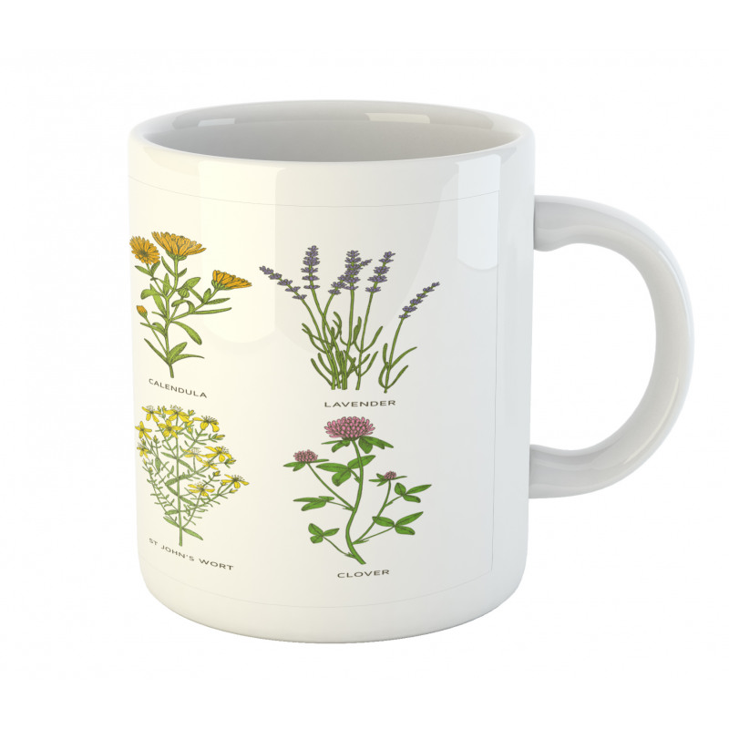 Natural Cosmetics Flowers Mug