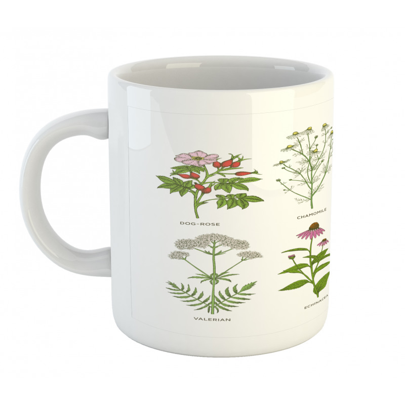 Natural Cosmetics Flowers Mug