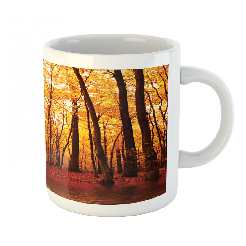 Autumn Forest Trees Mug