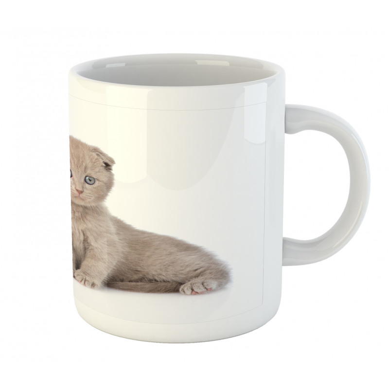 Cuddling Animals Mug