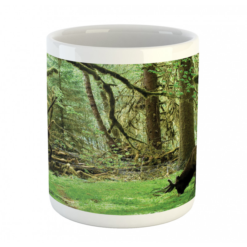 Roosevelt Elk in Park Mug