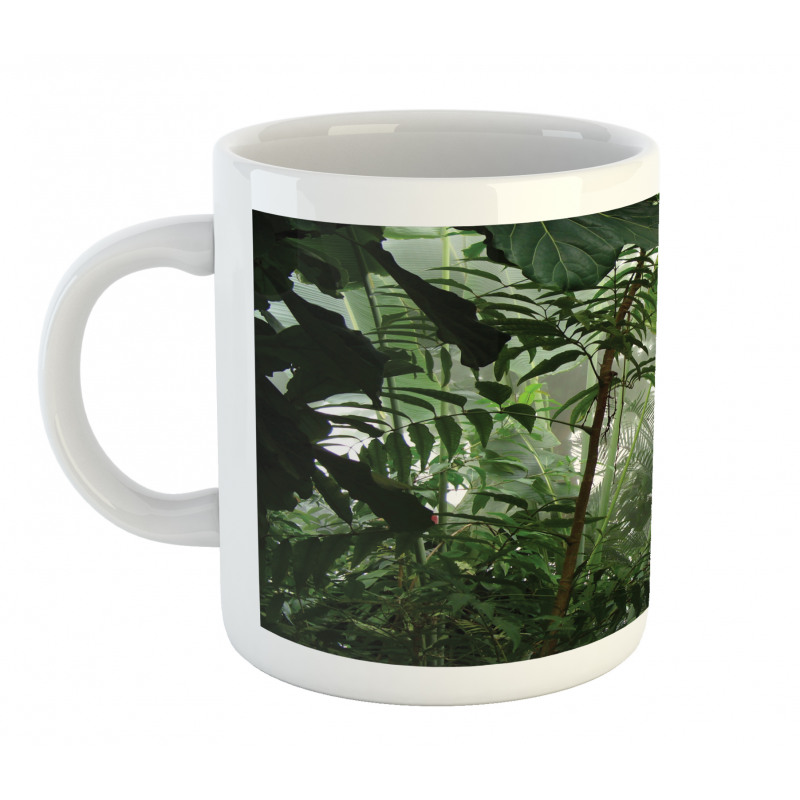 Tropical Rainforest Wild Mug