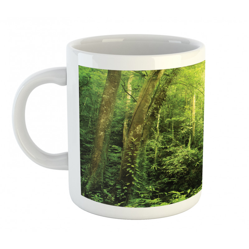 Rainforest Landscape Mug