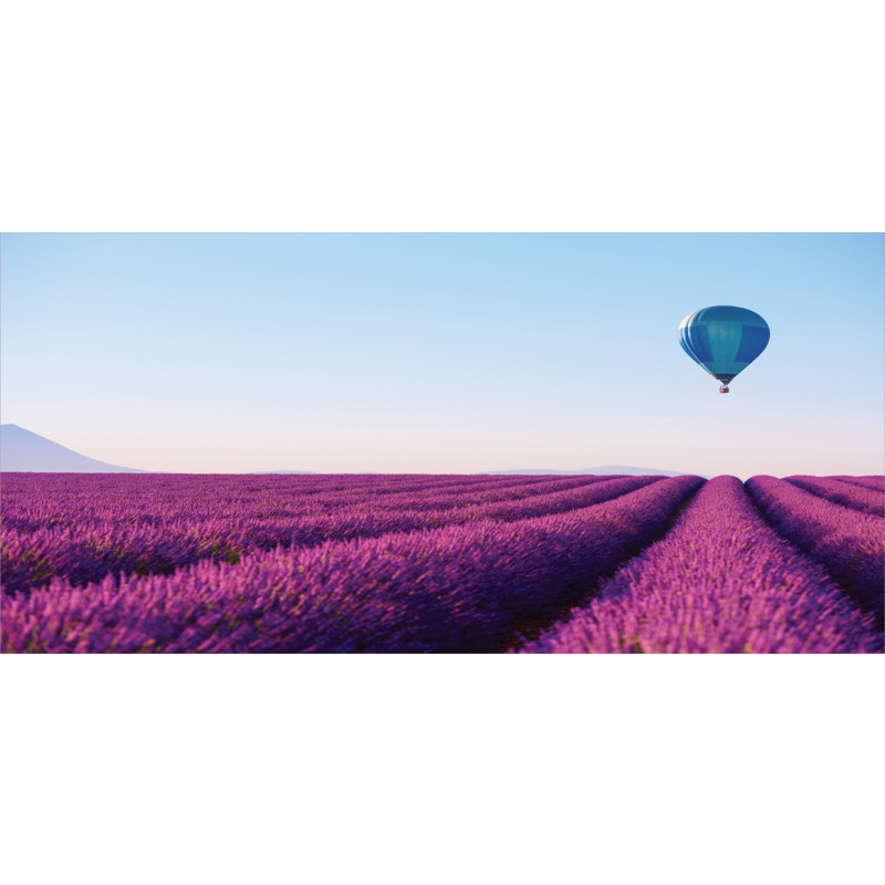 Lavender Field Balloon Mug