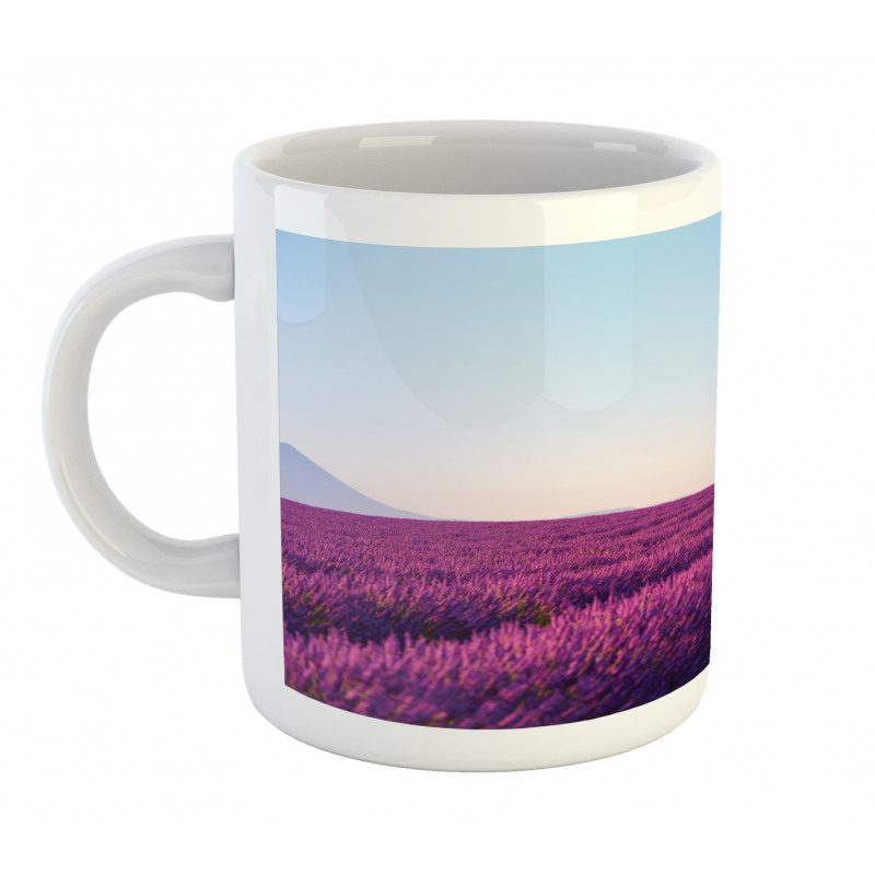 Lavender Field Balloon Mug