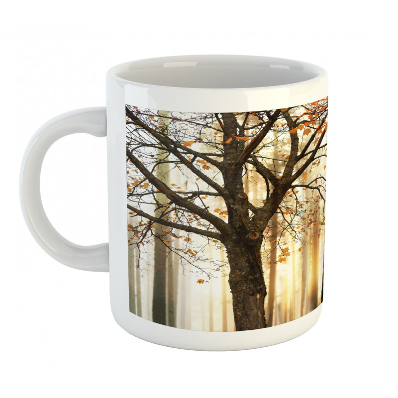 Tree in Abstract Woods Mug