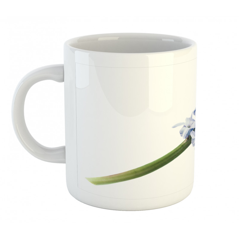 Spring Love Hyacinth Mug